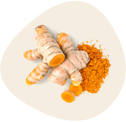 kunyit
